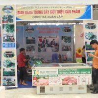 23-04-24-tho-xuan-4.jpg