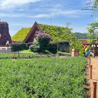 dalat.jpg