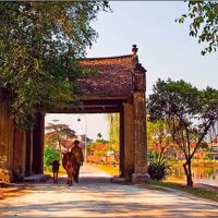Ảnh trong bài