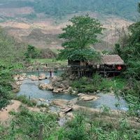 Du lịch Mộc Châu: Thời điểm lý tưởng nhất với mùa hoa nở “trắng trời”