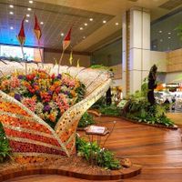 san-bay-changi-11-5122_64b8d157a08a3.jpg