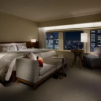 Keio Plaza Tokyo ivivu 9