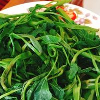 rau-muong-ivivu-2