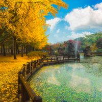 Saigontourist - Ngắm mùa thu tuyệt đẹp trên đảo Nami, Hàn Quốc