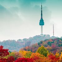 Dịch vụ Tháp N Seoul (Tháp Namsan) | TGROUP Du lịch Thông minh SMARTOURISM