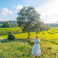 Gia Lai không chỉ có Biển Hồ