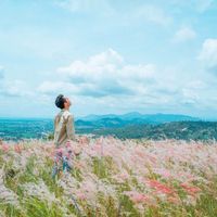 Gia Lai không chỉ có Biển Hồ