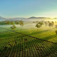 Gia Lai không chỉ có Biển Hồ