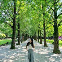đảo-Nami-ivivu