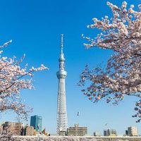 Tháp Tokyo Skytree – tour du lịch Nhật Bản 