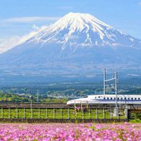 Tour du lịch Nhật Bản ngắm trọn vẻ đẹp phong cảnh Tokyo – Yamanashi