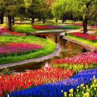 Vườn hoa Keukenhof Hà Lan - vườn hoa Tulip lớn nhất thế giới