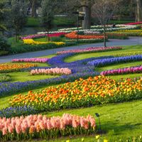 Tham quan vườn hoa Keukenhof Hà Lan - Vườn hoa lớn nhất thế giới