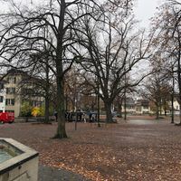 doi-lindenhof-thuy-sy-ivivu-3