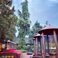 Fuhu-Temple-ivivu-3