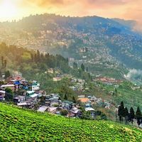 Darjeeling-ivivu