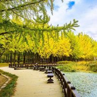 Chiêm ngưỡng thiên nhiên tươi đẹp bốn mùa trong tour du lịch Hàn Quốc