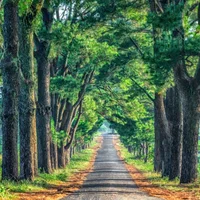 địa điểm du lịch Gia Lai