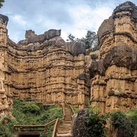 Ảnh trong bài