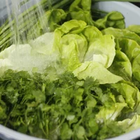 cuốn hành thủy nguyên-ivivu2