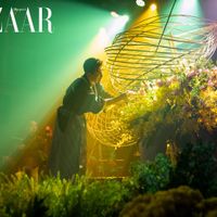 Hanadayori Night: Nghệ nhân Ikebana trình diễn cùng nhạc sĩ Đức Trí