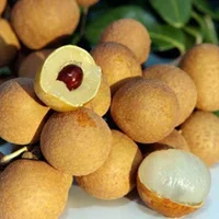  món ăn đặc sản Hưng Yên