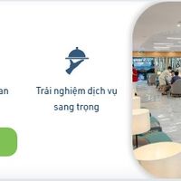 bamboo-airways-ivivu-8
