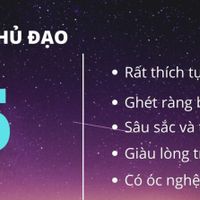 con số chủ đạo số 5