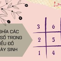 Biểu đồ ngày sinh trong Thần số học nói lên bản chất con người