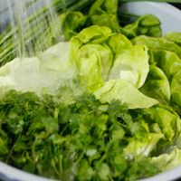 cuốn hành thủy nguyên-ivivu2