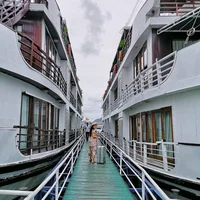 Pelican chính thức đi vào hoạt động từ năm 2012. Ảnh: Instagram @phynixlee