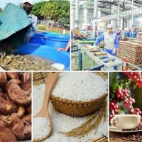 Sản phẩm nông sản của Việt Nam đã có mặt tại 200 quốc gia và vùng lãnh thổ trên thế giới.
