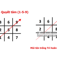 Thần số học mũi tên 159