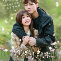 Khu rừng nhỏ của hai người - A Romance of the Little Forest (2022)