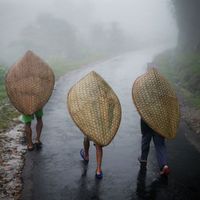 Mưa nhiều nhất