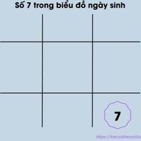 số 7 trong biểu đồ ngày sinh