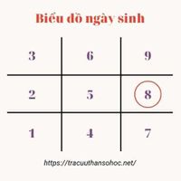 Số 8 trong biểu đồ