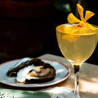 Cocktail Crysthanemum