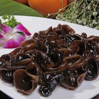Khám phá lợi ích của mộc nhĩ cho sức khỏe và những ai không nên ăn