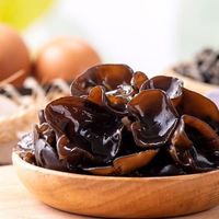 Khám phá lợi ích của mộc nhĩ cho sức khỏe và những ai không nên ăn