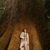Quỳnh Anh Shyn và Sherwood