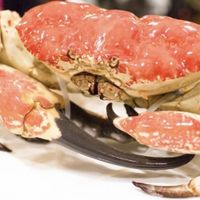 Những thú chơi đốt tiền tỷ ngày Tết của nhà giàu Việt