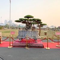 Những thú chơi đốt tiền tỷ ngày Tết của nhà giàu Việt