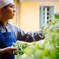 Ẩm thực chay tinh tế, sáng tạo thu hút nhiều người trẻ