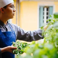 Ẩm thực chay tinh tế, sáng tạo thu hút nhiều người trẻ