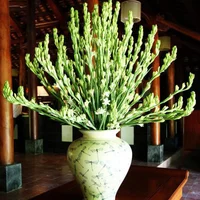 Loại hoa nào nên bày trên bàn thờ ngày Tết giúp thu hút tài lộc?