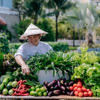JW Marriott Phu Quoc kết hợp với Đại học Lamarck mở cửa ở Việt Nam