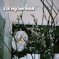 Hồ Ngọc Hà trang trí tết