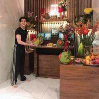 Noo Phước Thịnh decor biệt thự 20 tỷ