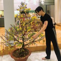 Noo Phước Thịnh decor biệt thự 20 tỷ